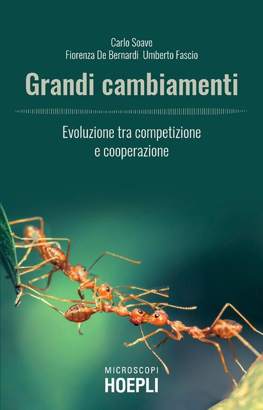 Grandi cambiamenti. Evoluzione tra competizione e cooperazione - Fiorenza De Bernardi,Umberto Fascio,Carlo Soave - ebook