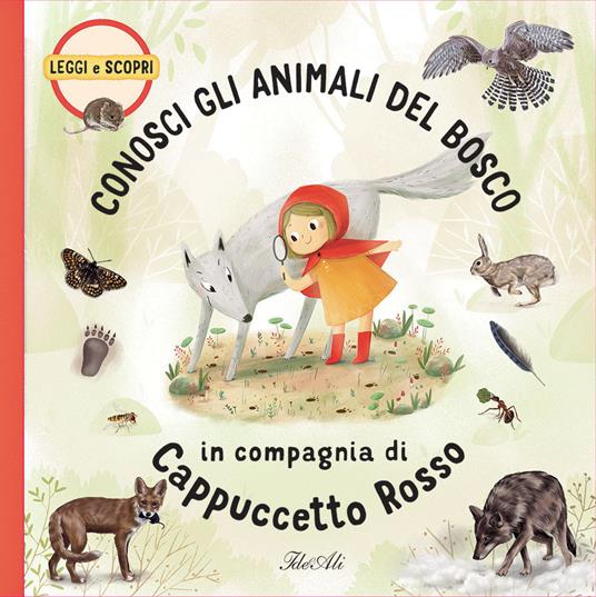 Le impronte degli animali del bosco — Andiamo all'avventura