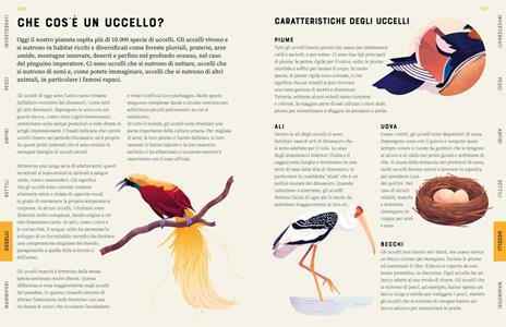 Enciclopedia degli animali. Ediz. a colori - Jules Howard - 6