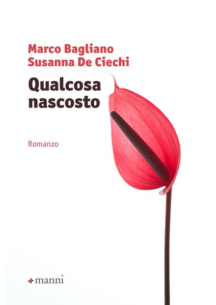 Qualcosa nascosto - Marco Bagliano,Susanna De Ciechi - ebook