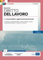 Elementi di diritto del lavoro. Per concorsi pubblici e aggiornamento professionale. Teoria e test. Con software di simulazione