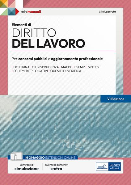 Elementi di diritto del lavoro. Per concorsi pubblici e aggiornamento professionale. Teoria e test. Con software di simulazione - Lilla Laperuta - ebook