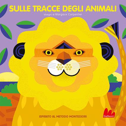 Sulle tracce degli animali. Ediz. a colori - Rhiannon Findlay - copertina