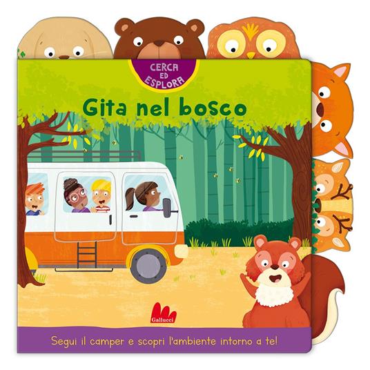 Gita nel bosco. Cerca ed esplora. Ediz. a colori - Angelika Scudamore - copertina