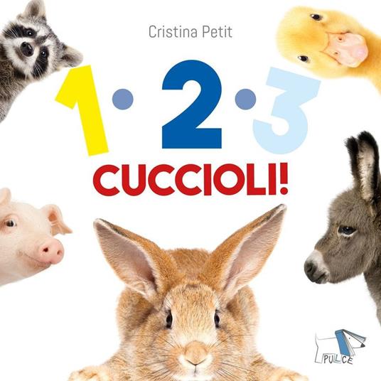 Il potere delle parole. Ediz. a colori : Ottaviani, Fabiana, Petit,  Cristina: : Libri