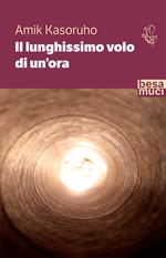 Il lunghissimo volo di un'ora