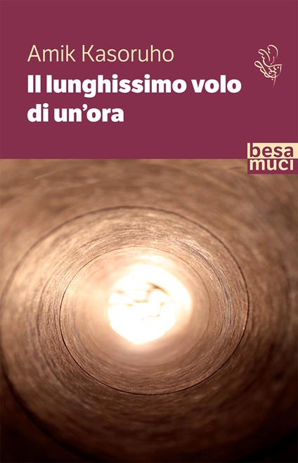 Il lunghissimo volo di un'ora - Amik Kasoruho - copertina