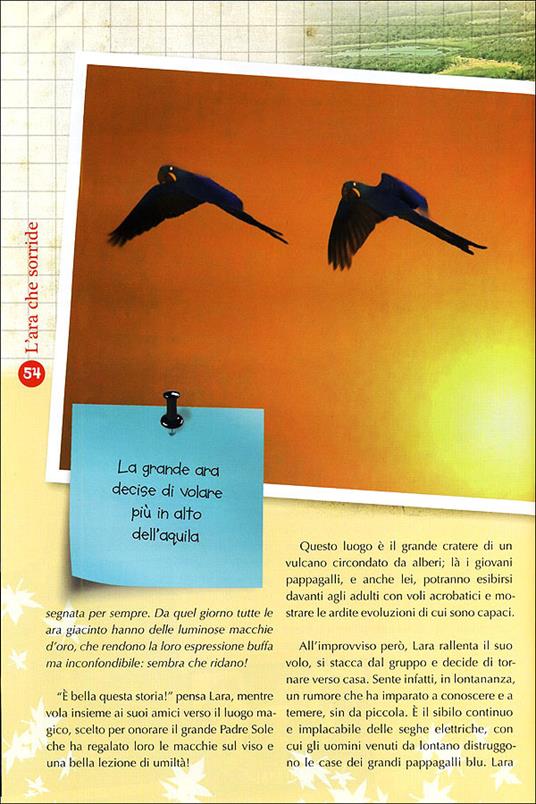 Le Meraviglie del Pianeta Terra. Storie di animali, bambini e natura. Ediz. illustrata - Roberto Isotti,Micol Ricci,Gabriele Salari - 3