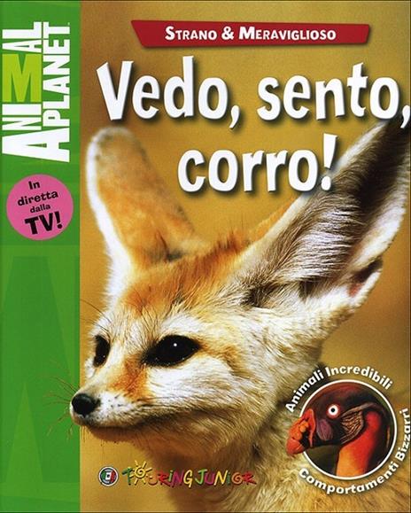 Vedo, sento, corro! - Amanda Burdon - copertina