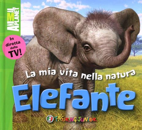 Elefante - copertina