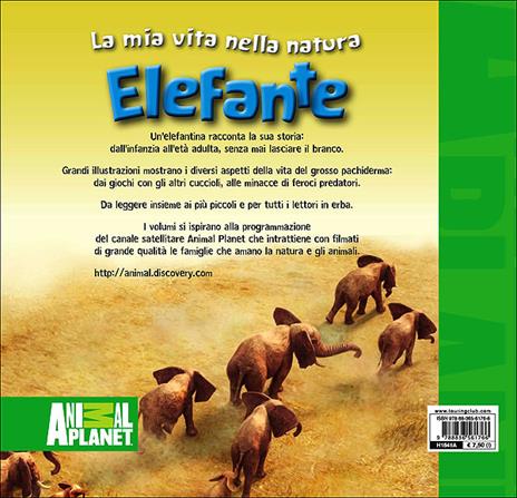 Elefante - 3