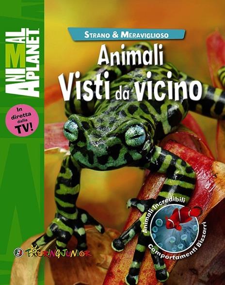 Animali visti da vicino - Amanda Burdon - copertina