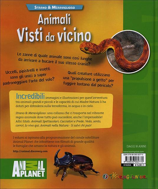 Animali visti da vicino - Amanda Burdon - 4