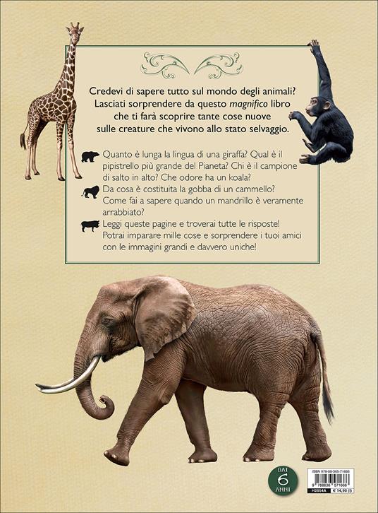 Il magnifico libro degli animali. Ediz. a colori - Tom Jackson - 2