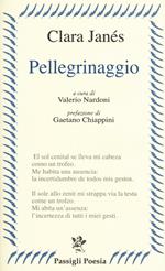 Pellegrinaggio