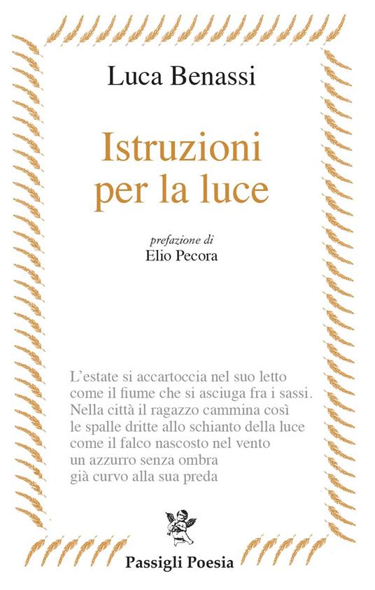 Istruzioni per la luce - Luca Benassi - Libro - Passigli - Passigli poesia  | IBS