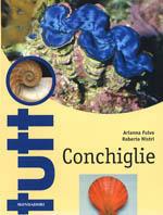 Conchiglie. Ediz. illustrata - Arianna Fulvo,Roberto Nistri - copertina