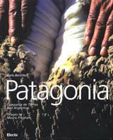 Patagonia. Compañía de Tierras Sud Argentino. Ediz. italiana e inglese - Carlo Benetton,Mauro Fregnan - copertina
