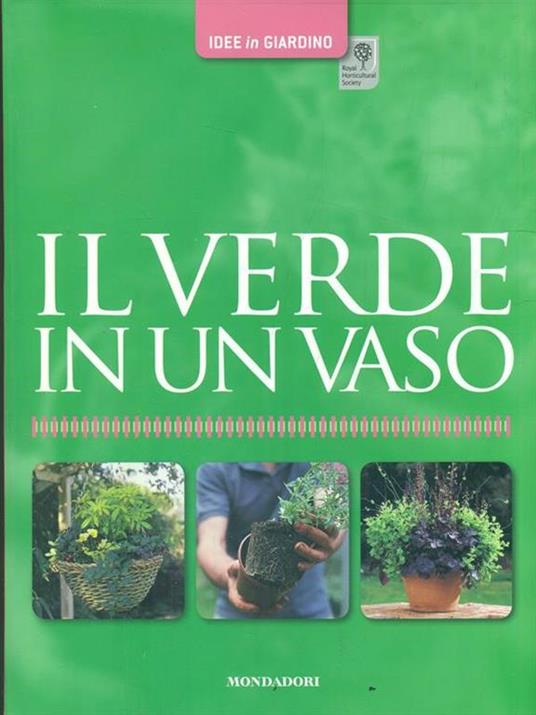 Il verde in un vaso - Richard Rosenfeld - 4