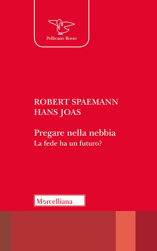 Pregare nella nebbia. La fede ha un futuro? - Heinrich Spaemann,Hans Joas - copertina