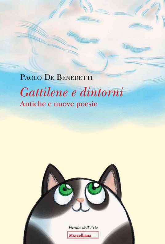 Gattilene e dintorni. Antiche e nuove poesie. Ediz. illustrata - Paolo De Benedetti - copertina