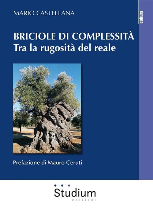 Briciole di complessità. Tra la rugosità del reale - Mario Castellana - ebook