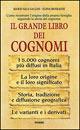 Il grande libro dei cognomi. Come ricostruire l'origine della propria famiglia seguendo la storia del cognome