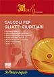 Calcoli per gli atti giudiziari. Software - Erennio Fabozzi - copertina