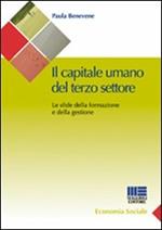 Il capitale umano del terzo settore. Le sfide della formazione e della gestione