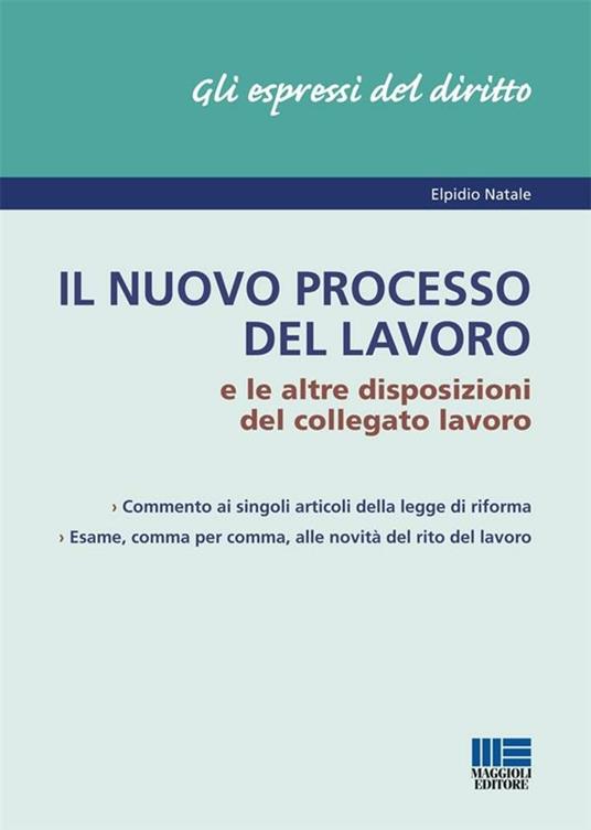 Il nuovo processo del lavoro e le altre disposizioni del collegato lavoro - Elpidio Natale - ebook