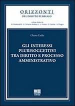 Gli interessi plurisoggettivi tra diritto e processo amministrativo