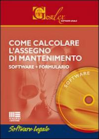 Come calcolare l'assegno di mantenimento. Con formulario. DVD-ROM - Erennio Fabozzi - copertina