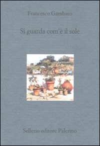 Si guarda com'è il sole - Francesco Gambaro - 2