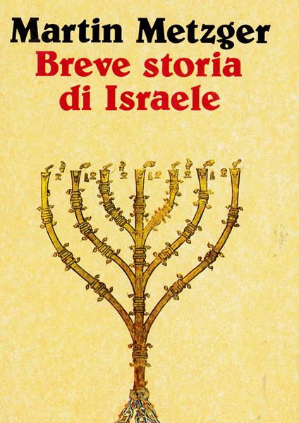 Breve storia di Israele - Martin Metzger - copertina