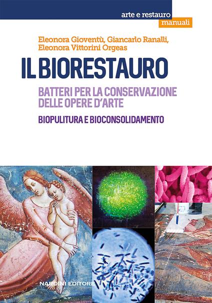 Il biorestauro. Batteri per la conservazione delle opere d'arte. Biopulitura e bioconsolidamento - Eleonora Gioventù,Giancarlo Ranalli,Eleonora Vittorini Orgeas - copertina