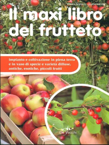 Il maxi libro del frutteto. Coltivazione in piena terra e in vaso - Enrica Boffelli,Guido Sirtori - copertina