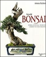 L' arte del bonsai. Storia, estetica, tecniche e segreti di coltivazione