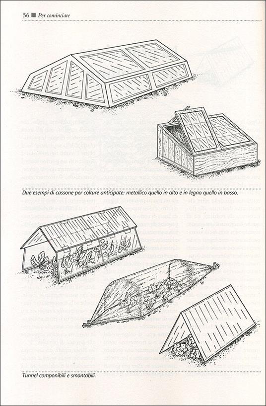 Il maxi libro del giardino. Come progettare, organizzare, suddividere, impiantare e curare il tuo giardino - Fausta Mainardi Fazio - 5