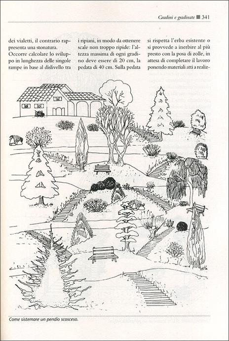 Il maxi libro del giardino. Come progettare, organizzare, suddividere, impiantare e curare il tuo giardino - Fausta Mainardi Fazio - 6
