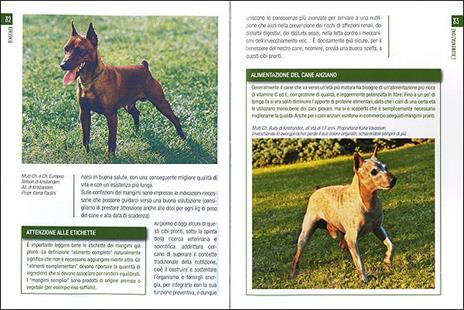 Pinscher - Antonella Tomaselli - 2