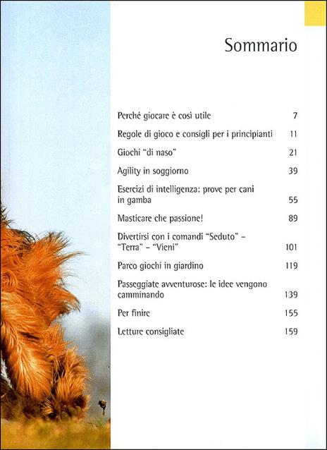 Giocare con il cane. Divertimenti e passatempi per cani e padroni - Christina Sondermann - 3