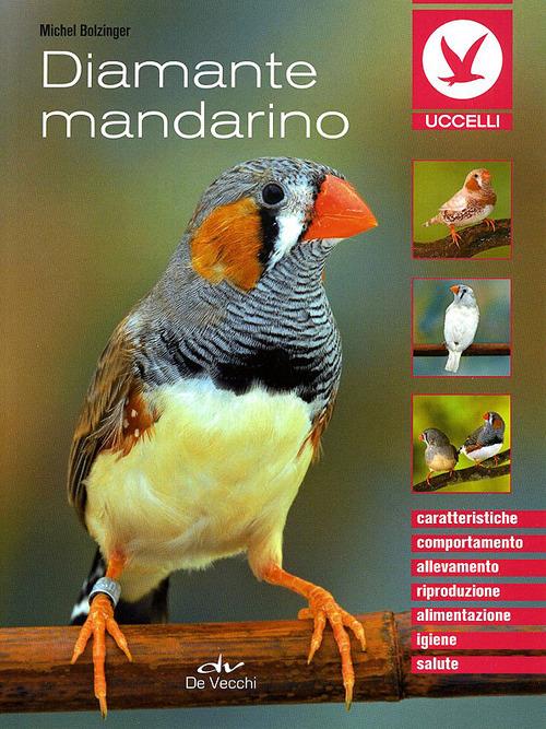 Diamante mandarino - Michel Bolzinger - copertina