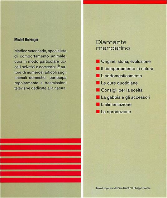 Diamante mandarino - Michel Bolzinger - 5