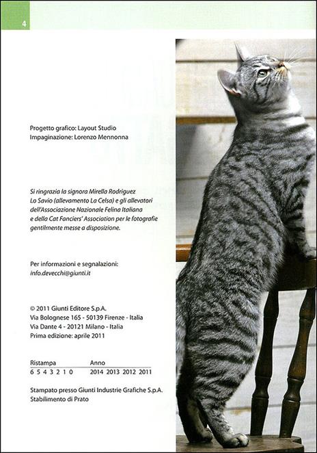 Il linguaggio del gatto. Conoscerlo, capirlo, interpretarlo - Nicoletta Magno - 3