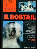 Il Bobtail