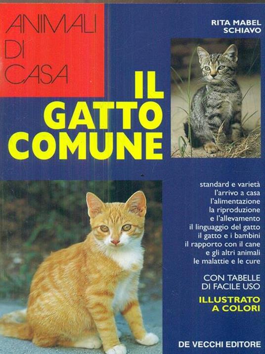 Guida al gatto comune - Rita Mabel Schiavo - copertina
