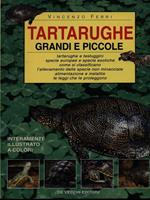 Tartarughe grandi e piccole