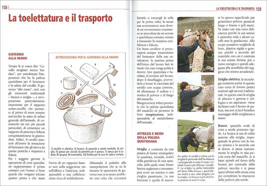 Il libro completo dell'equitazione. L'allenamento e i diversi tipi di monta - Vincenzo De Maria - 3