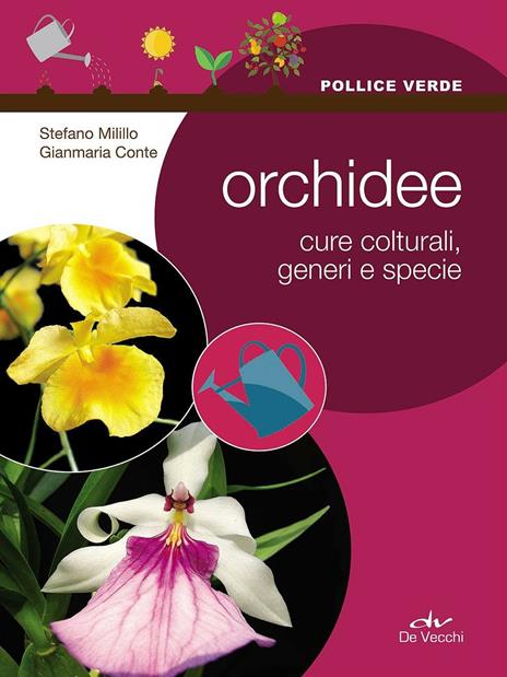 Orchidee. Cure colturali, generi e specie - Stefano Milillo,Gianmaria Conte - copertina