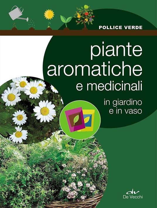 Piante aromatiche e medicinali in giardino e in vaso - 4